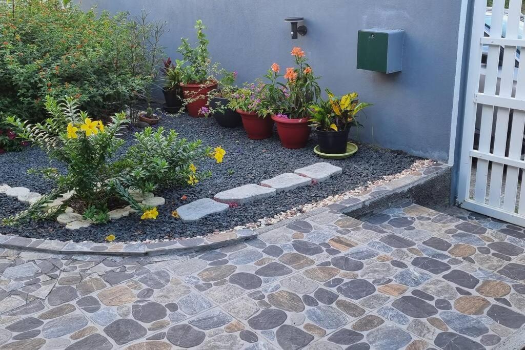 Charmant Studio D'Invite - Baie-Mahault Ngoại thất bức ảnh