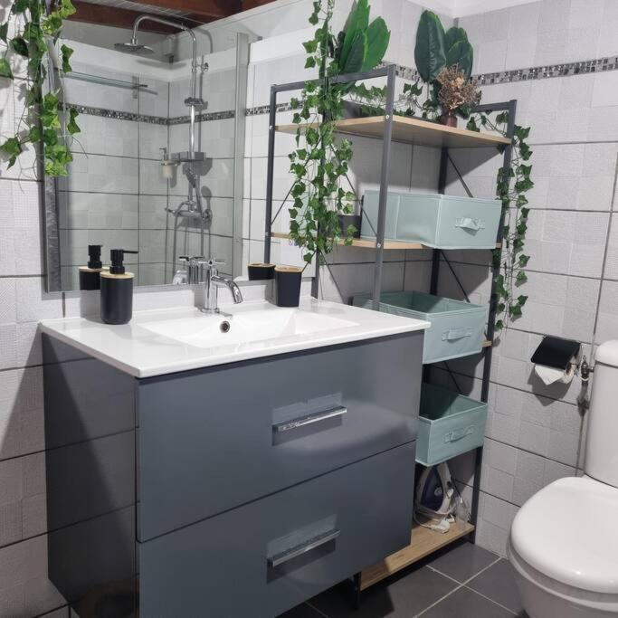 Charmant Studio D'Invite - Baie-Mahault Ngoại thất bức ảnh